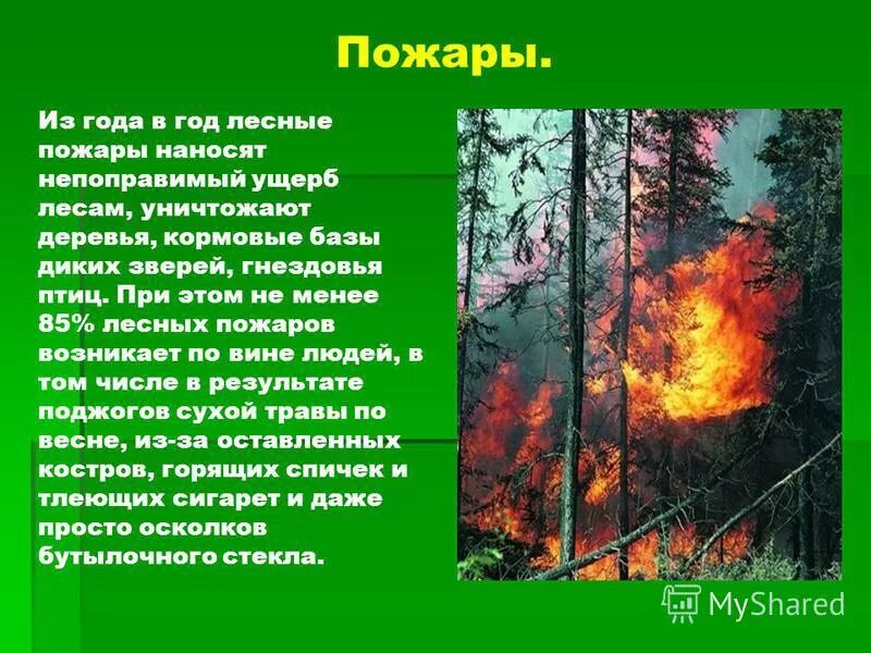 Природные пожары кратко. Презентация на тему Лесные пожары. Лесные пожары доклад. Как возникает Лесной пожар. Доклад пожар в лесу.