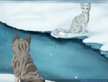 Коты воители серебрянка