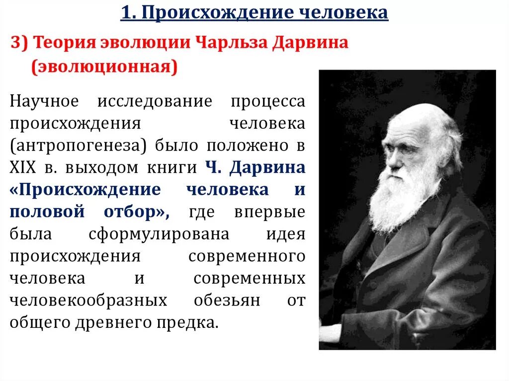 Суть гипотезы эволюции. Эволюционная теория Чарльза Дарвина. Гипотеза Дарвина о происхождении человека. Гипотеза Чарльза Дарвина о происхождении человека.