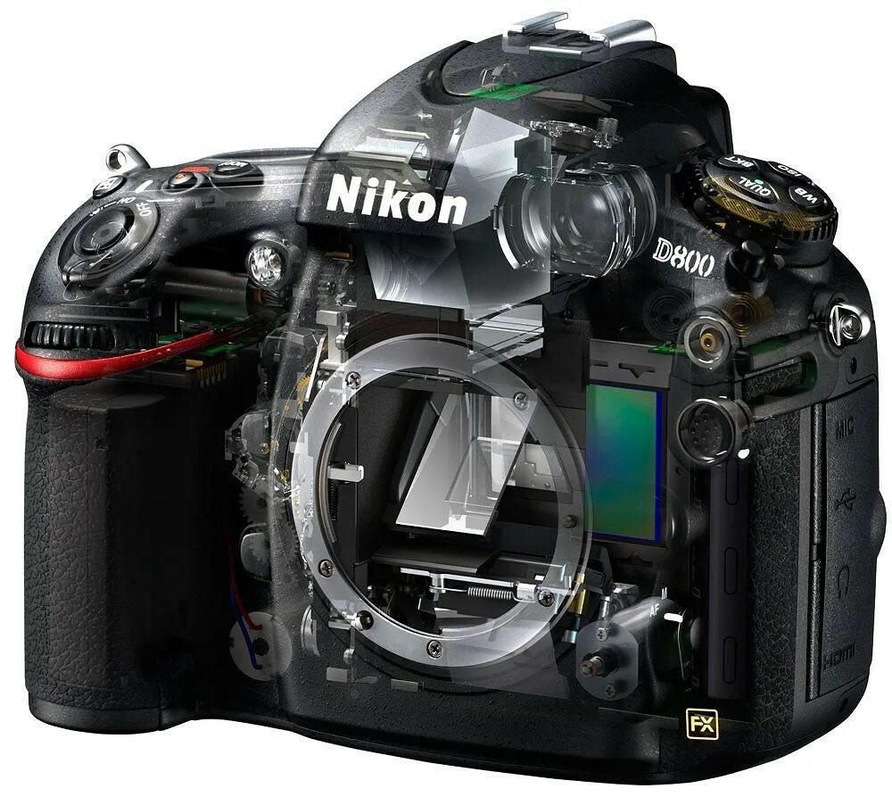 Зеркальная камера какую выбрать. Фотоаппарат Nikon d800. Nikon d800 body. Кроп на фотоаппарате Nikon. Nikon d3500.