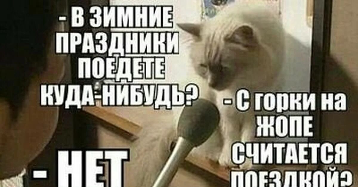 Ездил куда нибудь. Куда вы? это на новый год!. на зимние праздники поедете куда-нибудь. вы куда поедете на новый год. на новый год куда нибудь поедете.