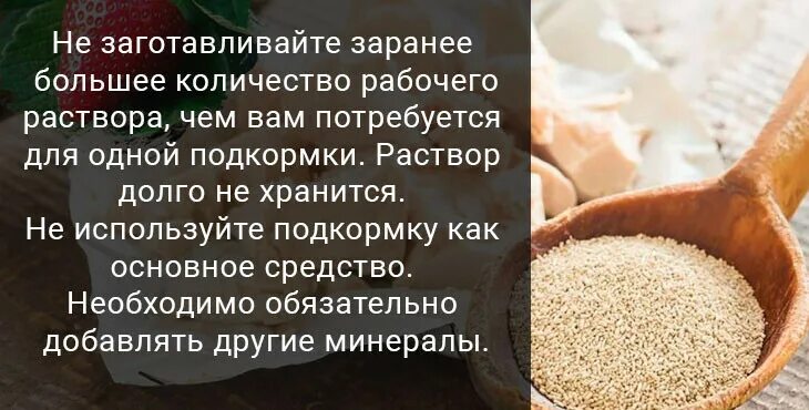 Дрожжи клубнике можно. Удобрение из дрожжей. Подкармливать клубнику дрожжами. Подкормка клубники дрожжами. Подкормка для клубники из дрожжей.