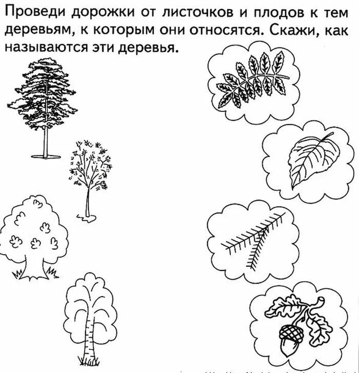 Окр мир средняя группа. Задание деревья для дошкольников 5-6 лет. Деревья задания для дошкольников. Деревья задаиядля детей. Лиственные деревья задания для дошкольников.