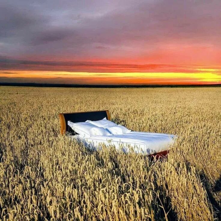 Кровать в поле фото