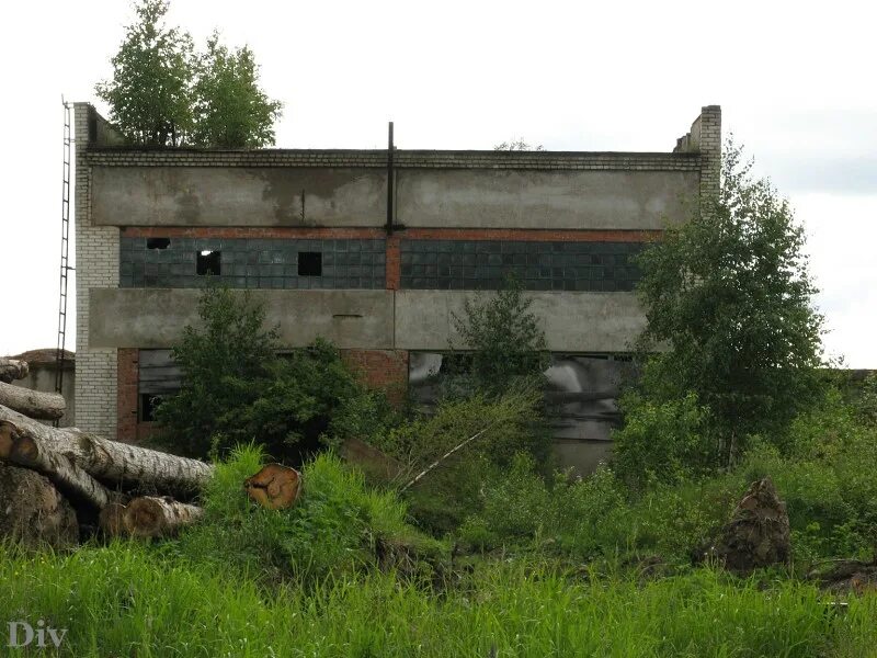 Невская дубровка заброшенный завод. Невская дубровка бараки. Невская дубровка завод. Невская дубровка бумкомбинат. Невская дубровка заброшенный завод.