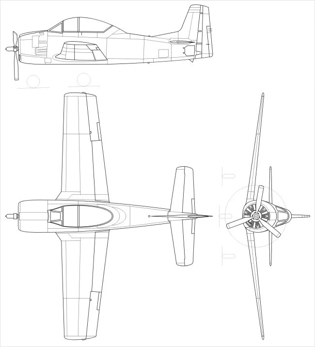 T 3 view