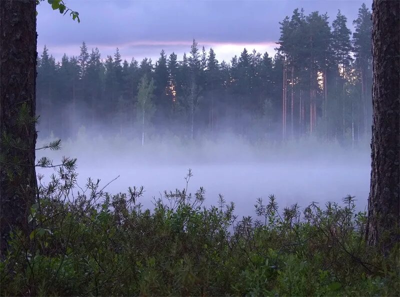 Леший в лесу настоящий. Озеро леший. Водоемы урала. Озеро леший. Пеший леший.