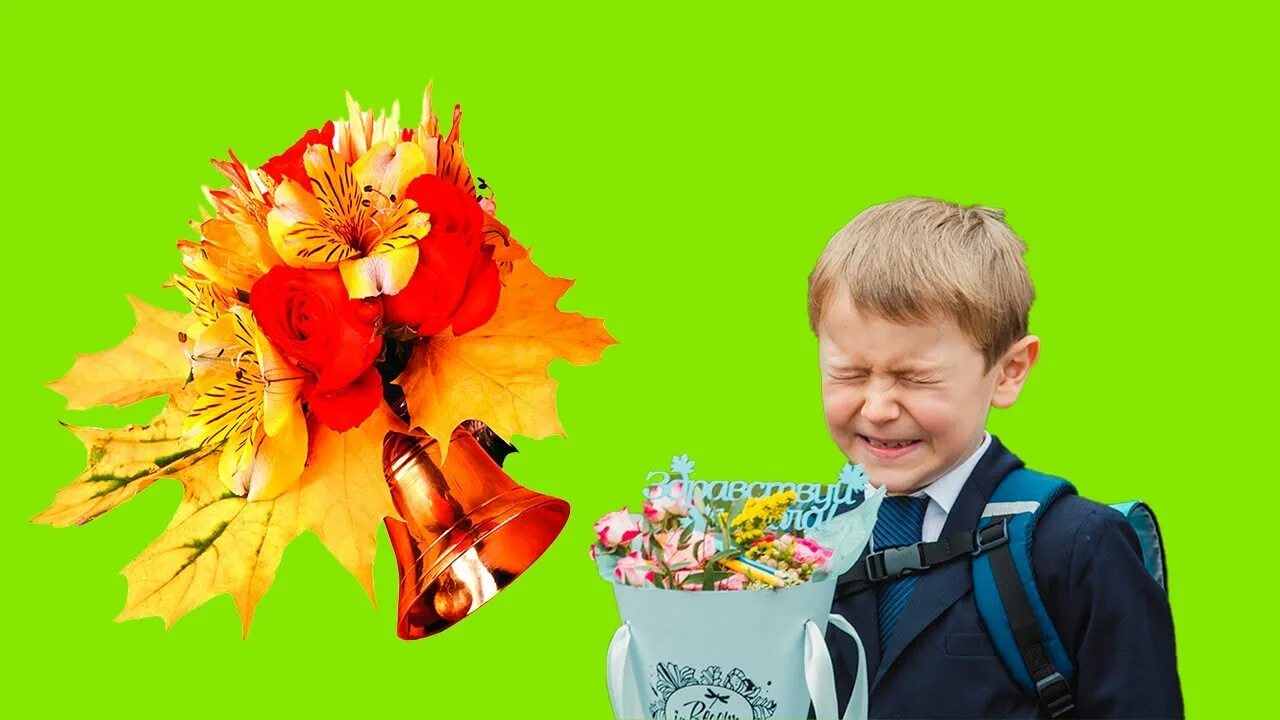 12 школа междуреченск. 1 сентября девочки. Смешные дети 1 сентября. 1 сентября линейка в школе. Учебный день в школе.