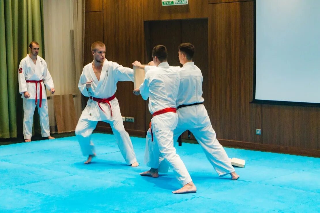 японский турнир. федерация каратэ пушкино. московское доджо карате. единоборств николая японского пушкино. журнал кумите.