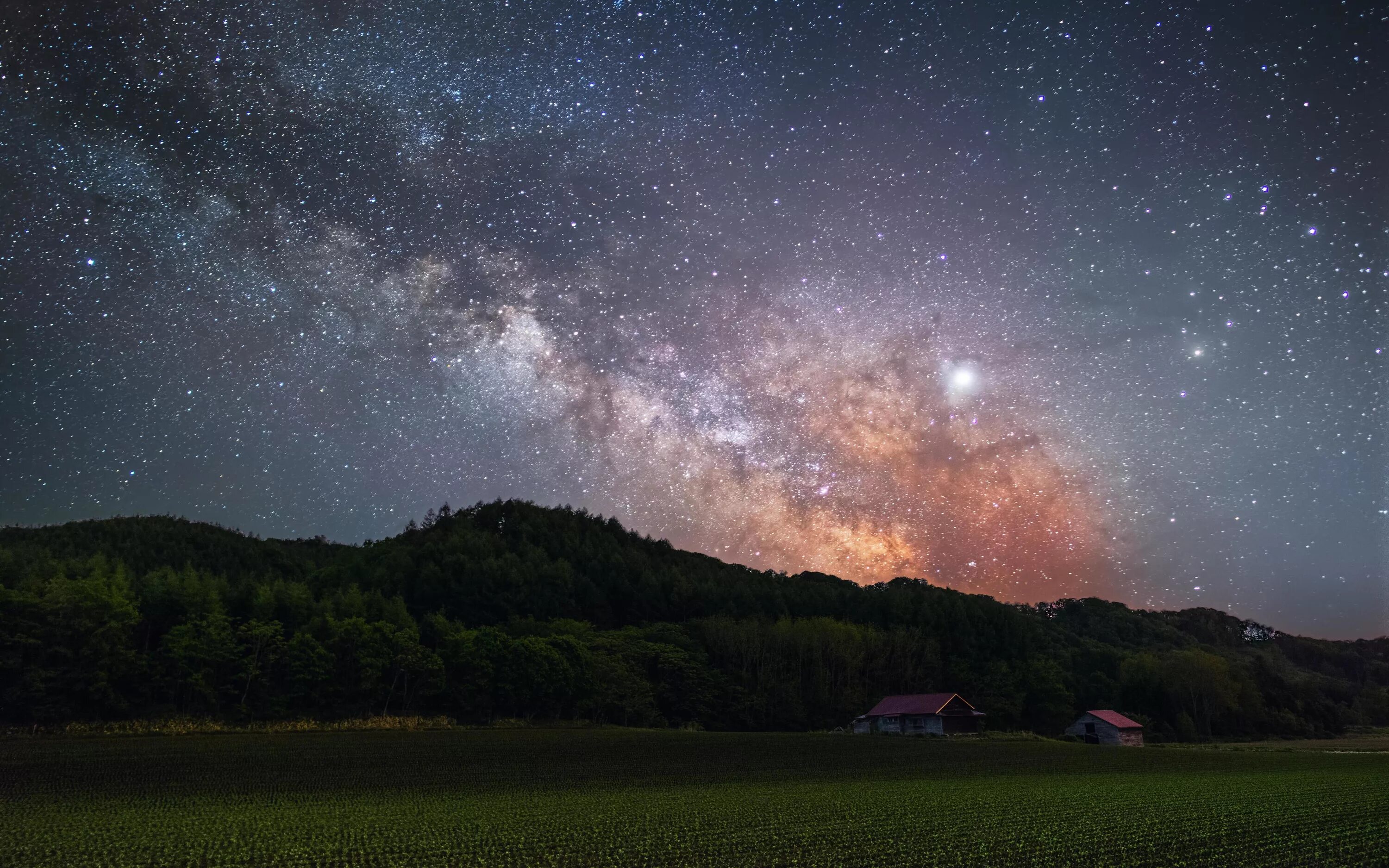 Above the stars in the field