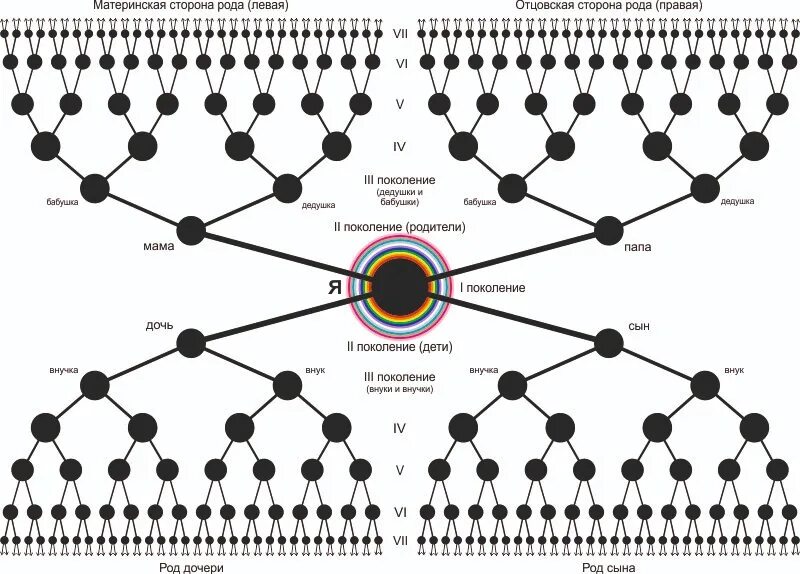 Схема рода человека. Матрица рода схема. Структура рода. Родовая схема. Сила рода схема.