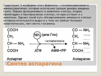 Нейтрализатор аммиака