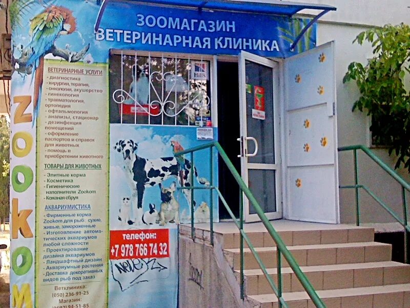 Зооком севастополь. Ветклиники севастополь. Ветклиника севастополь острякова. Улица тараса шевченко севастополь. Ветклиника севастополь телефон.