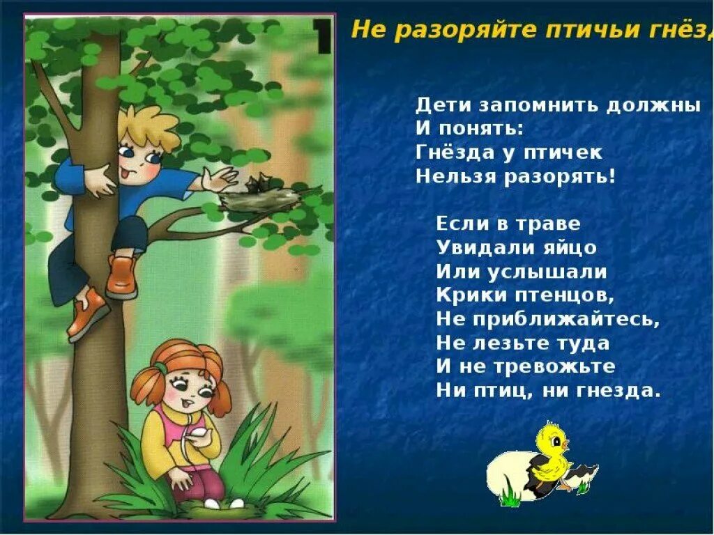 Безопасность поведения в лесу. Правила поведения в лесу. Поведение в лесу для детей. Безопасное поведение в лесу.