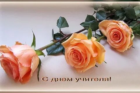 Пусть ваш профессионализм