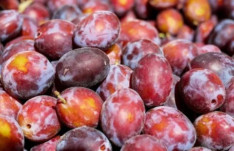 Слива какой фрукт