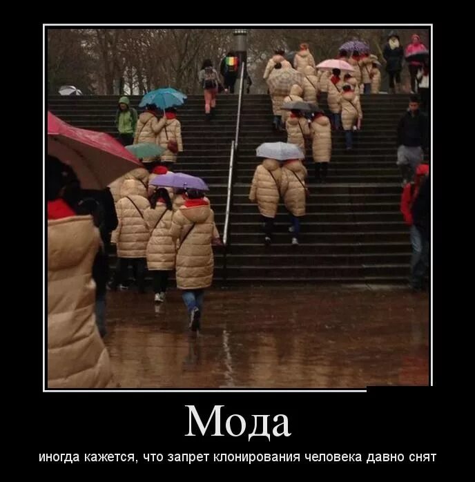 Давно сняла