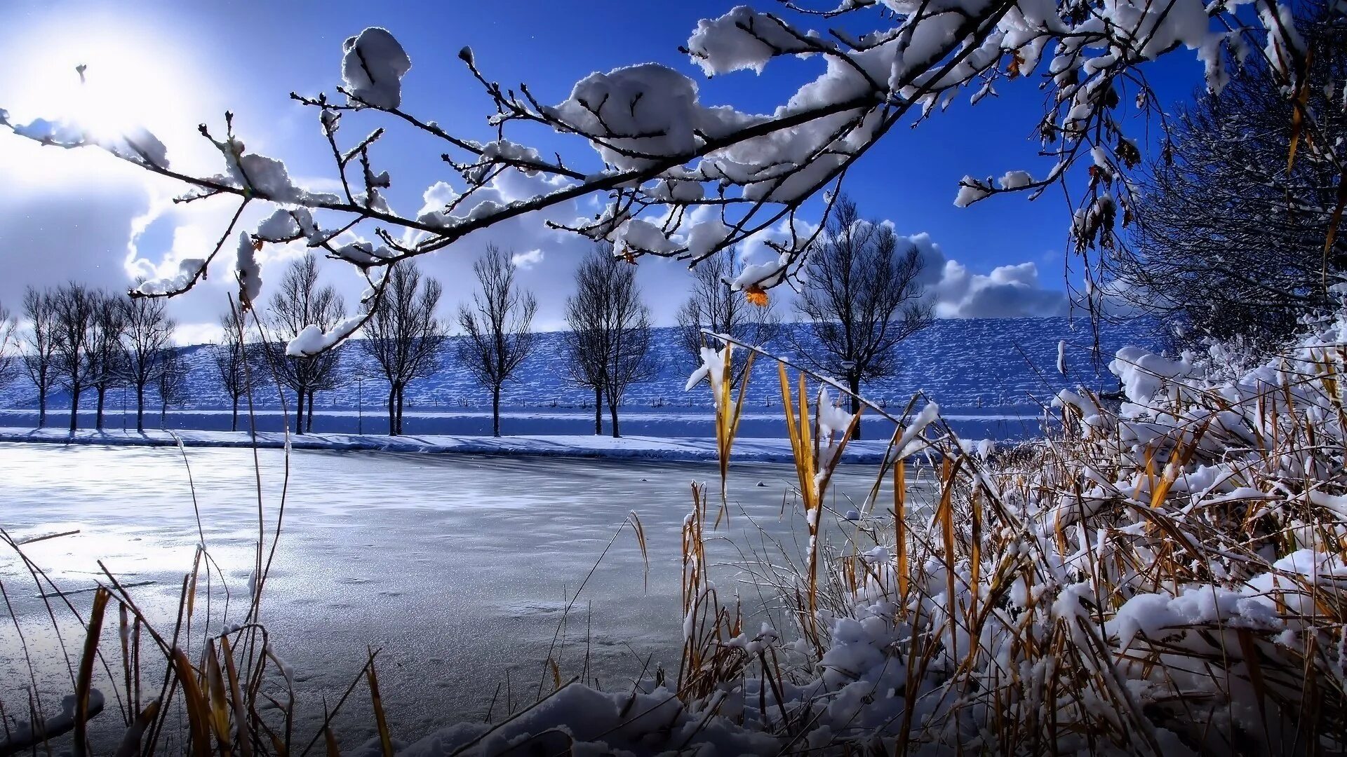 Конец февраля картинки красивые. Весенняя природа. Зимняя природа.