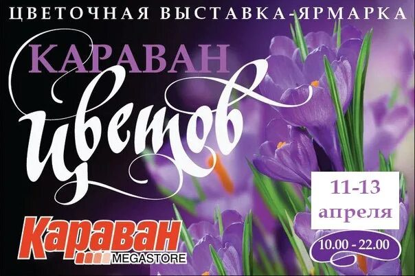 Афиша цветы. Афиша мир цветов. Афиша с цветами. Цветы в караване.