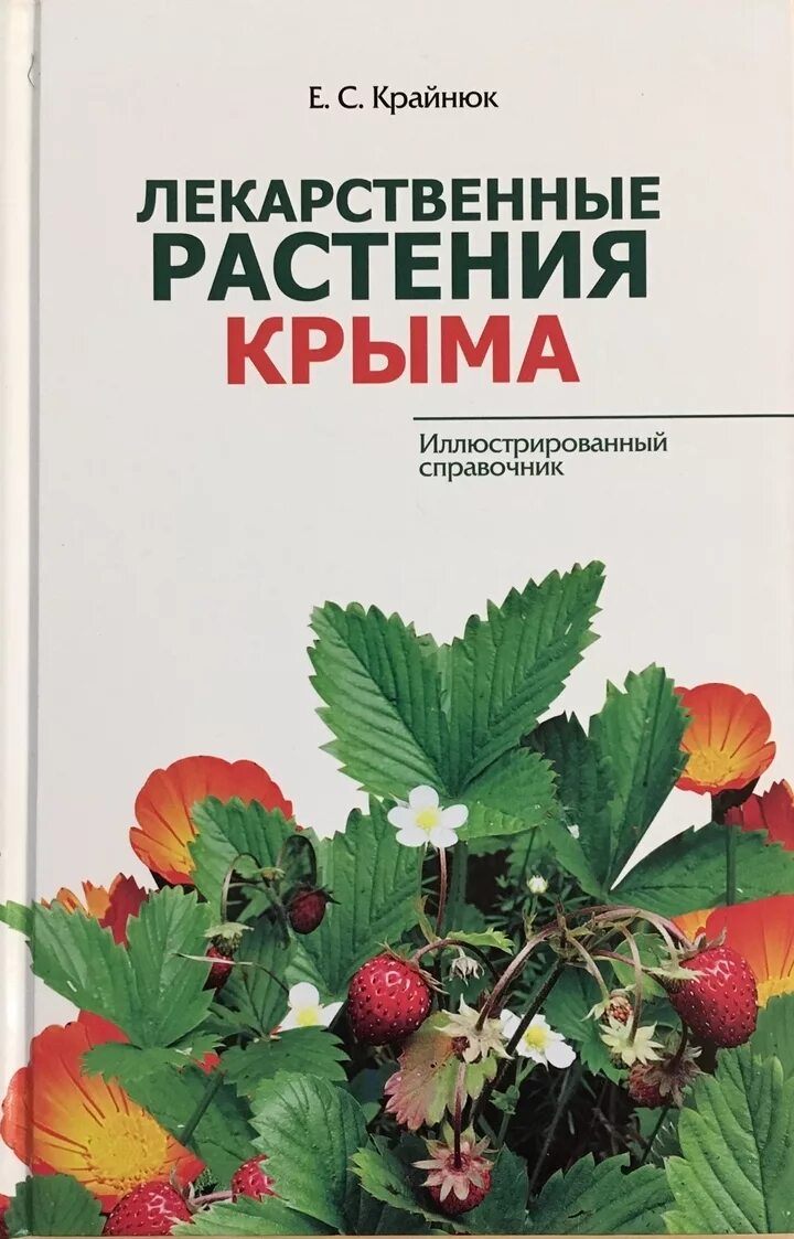 Растения крымских лесов лекарственные растения. Растения крымских лесов лекарственные растения. Полезные растения крыма. Бессмертник лекарственное растение. Е.