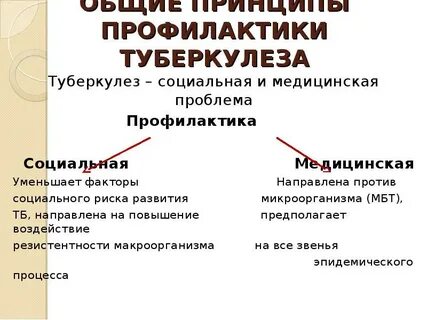 К способам профилактики туберкулеза относятся