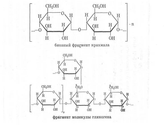 Строение молекулы крахмала мономер. Фрагмент молекулы гликогена. Схема строения молекулы гликогена. Биозный фрагмент целлюлозы. Этапов окисления молекул крахмала