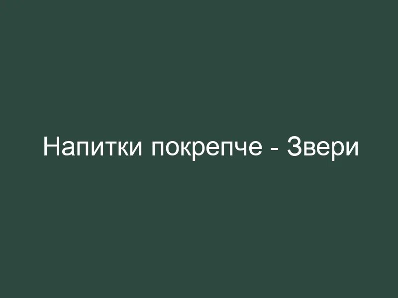 Крепче текст. Звери напитки покрепче. Напитки покрепче слова. Звери напитки покрепче текст. Напитки покрепче слова покороче текст.