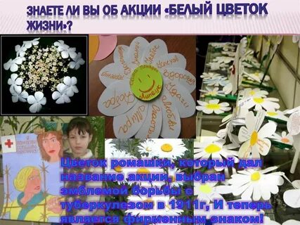 Цветы жизни рассказы