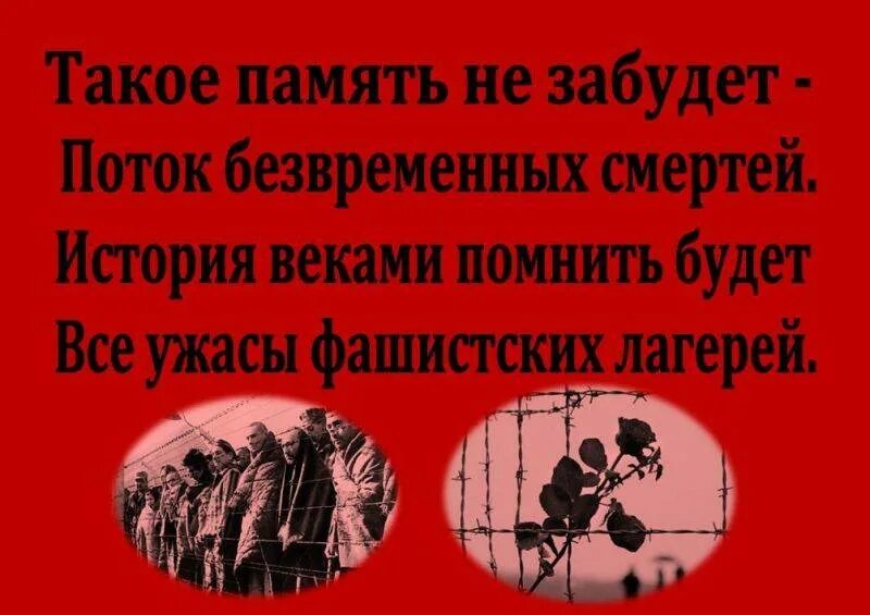 Стихи о жертвах фашизма. Международный день против фашизма расизма. Стихи о жертвах фашизма. Выставка день памяти жертв фашизма. День освобождения узников концлагерей.