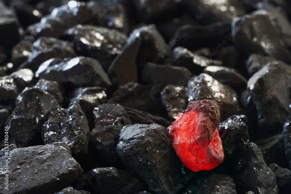 Swallow coals