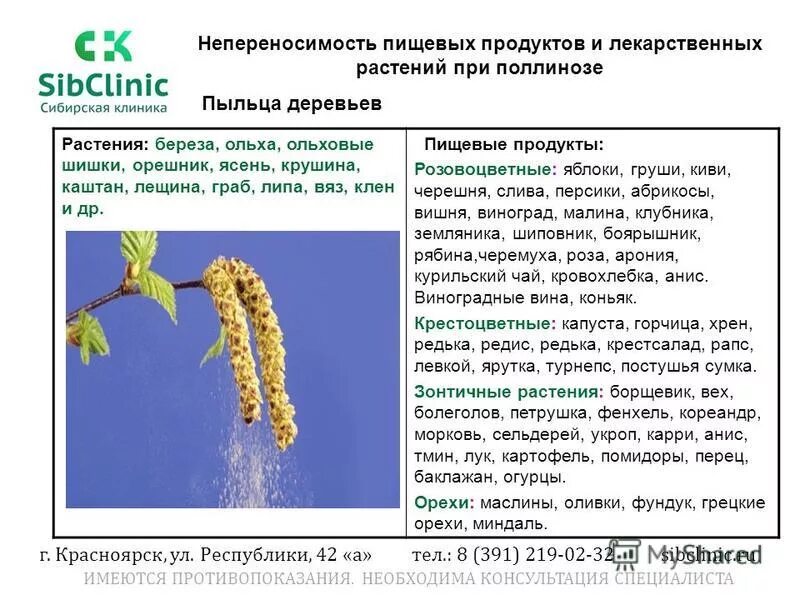 Дыня аллерген или нет