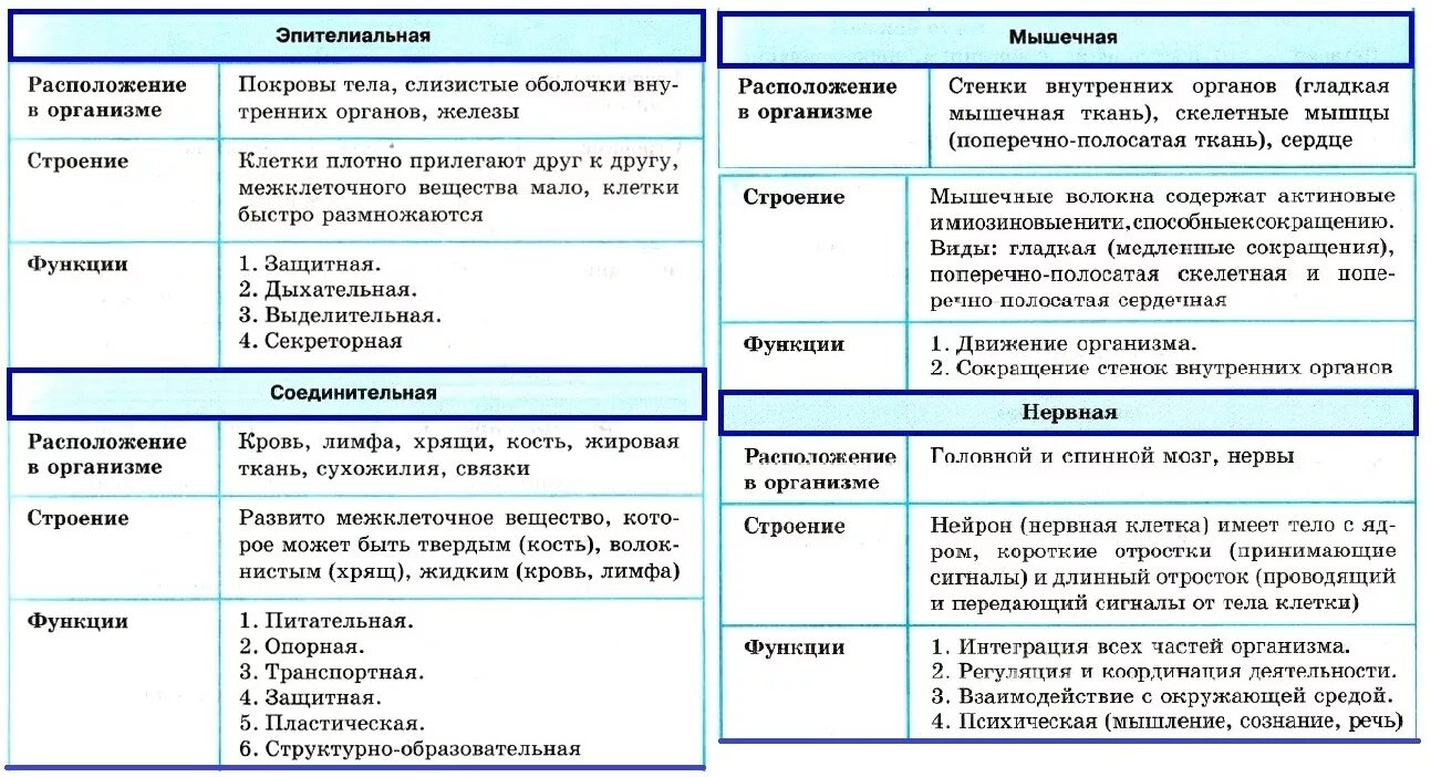 Характеристика тканей человека таблица