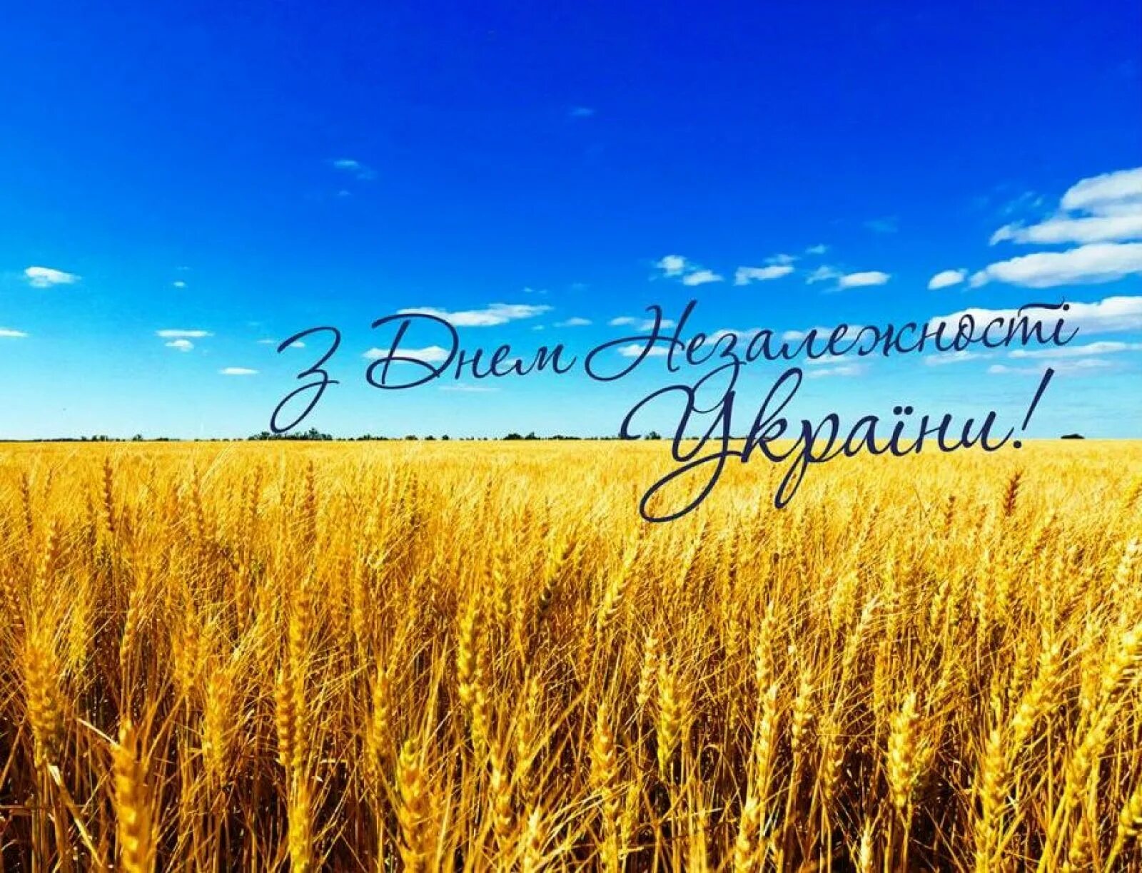 С днем незалежності. С днем незалежности украины. День незалежності україни 2021. С днем незалежности украины. День независимости украины открытки.