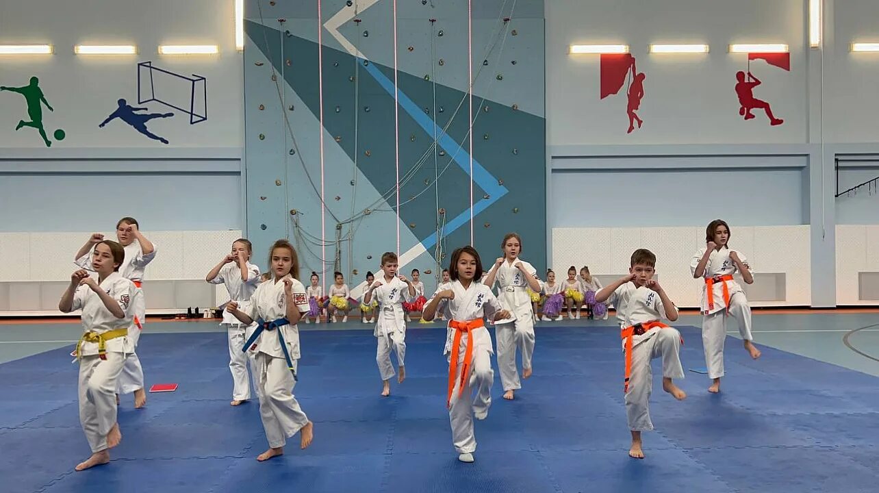 Сшор 3 краснодар. Спорт школа краснодар. Спорт школа краснодар. Спорт школа краснодар. Школа олимпийского резерва краснодар.