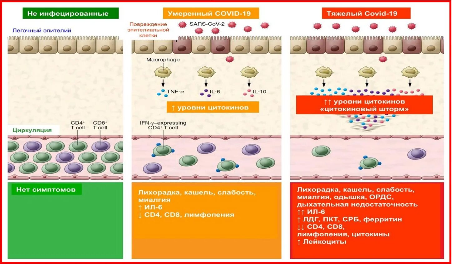 Отличие ковида. Цитокиновый шторм коронавирус. Цитокининовый шторм при Ковиде. Симптомы цитокинового шторма при ковид. Цитокиновый шторм при коронавирус.