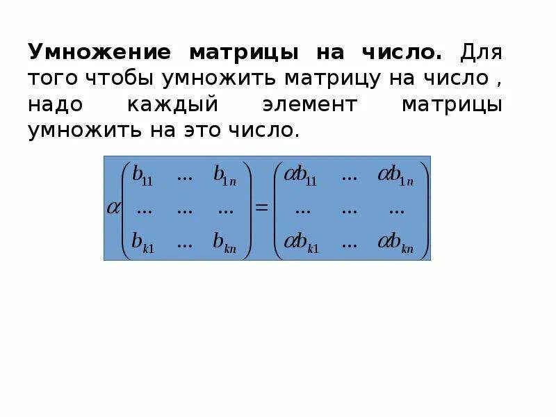 Понятие матрицы. Матрица для презентации. Общий вид матрицы. Матрица термин.