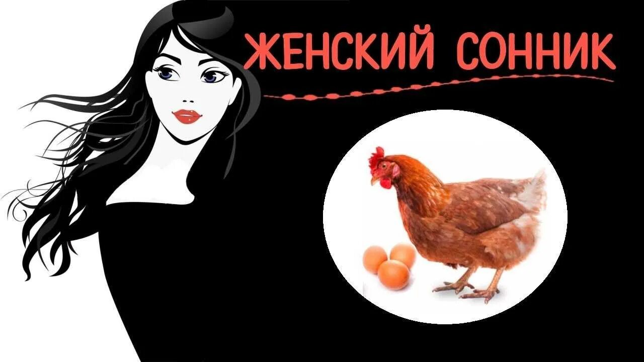 К чему снится петух женщине. Петух во сне к чему. Сонник петух. Что означает сон петух. Петух идет.