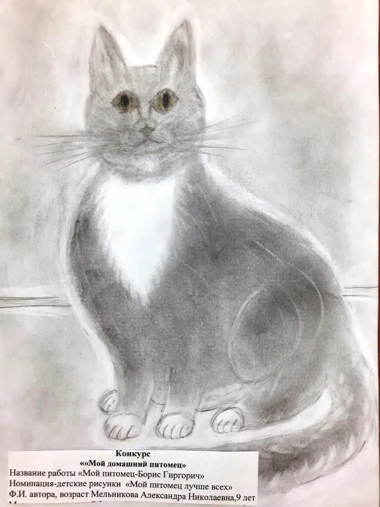 рисование мои любимые животные. рисунок любимого животного. домашние питомцы рисунок на конкурс. мой любимый питомец рисунок на конкурс. конкурс мой домашний питомец.