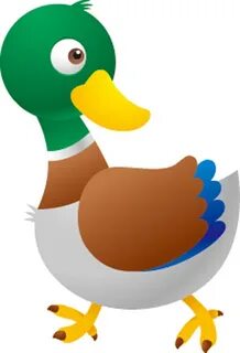Duck duck images