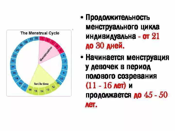 Месячные пришли признаки. Сколько дней длятся месячные у девочек. Длительность месячных у подростка. Сколько дней длятся месячные у девочек в 14. Норма менструационного цикла у девочек.