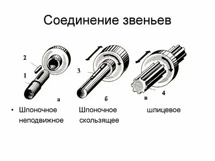 Звеньями являются