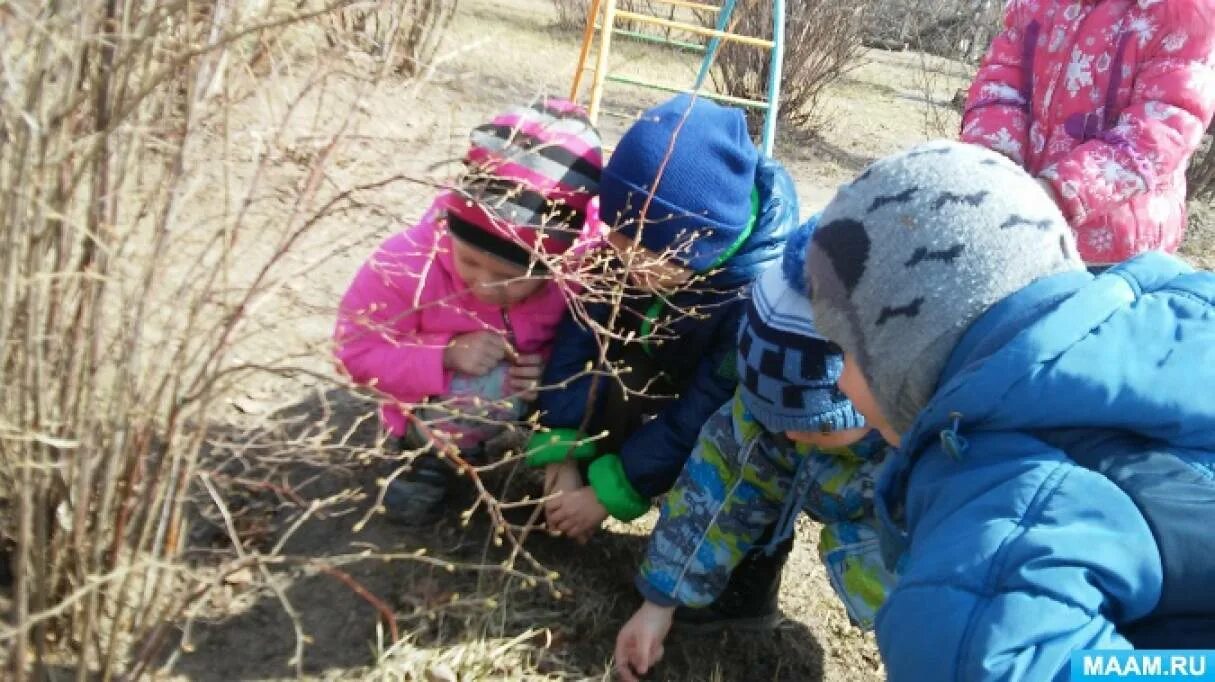 Дети на прогулке весной. Наблюдение детей в природе. Наблюдение с детьми на прогулке. Весенняя прогулка в детском саду