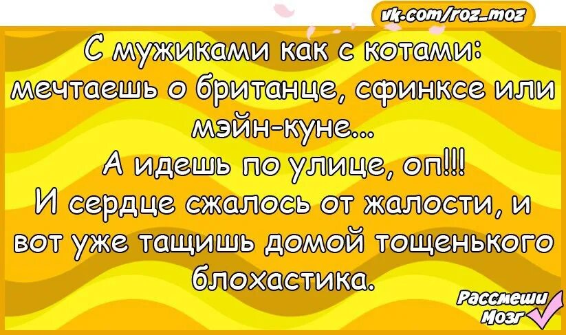 Как развеселить подругу. Анекдот для девушки чтоб развеселить. Приколы чтобы рассмешить подругу. Анекдот чтобы развеселить подругу. Шутки смешные для девушек чтобы развеселить.