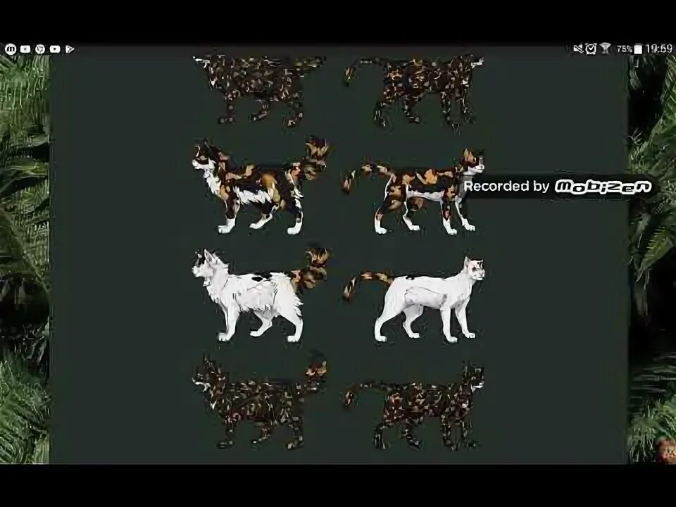 Коты воители стань диким игра. Коты воители игра охота. Коты воители стань диким игра игры. Into the wild игра коты воители. Коты воители стань диким игра.