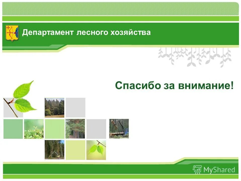 Сайт министерства лесного кировской