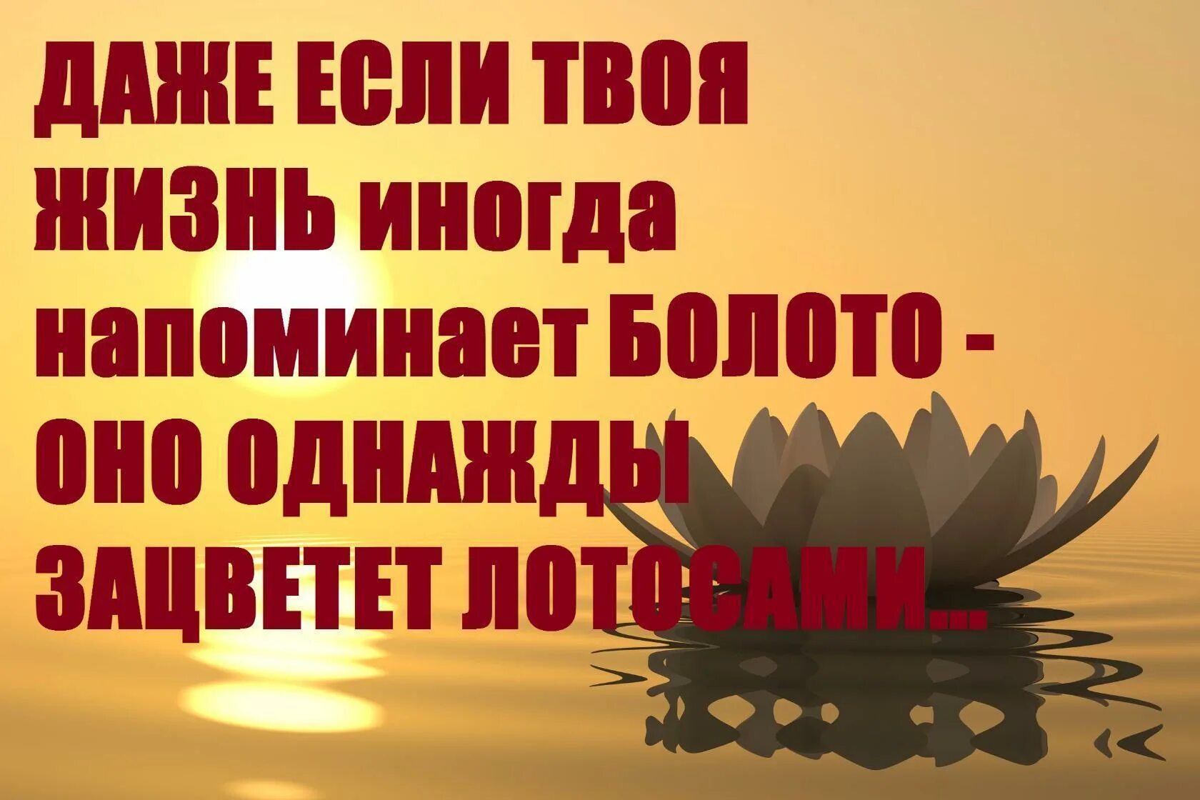 Жизнь иногда выпускает. Жизнь иногда. если твоя жизнь не сахар не соли чужую. иногда жизнь преподносит такие сюрпризы. если твоя жизнь не сахар не соли чужую фото.