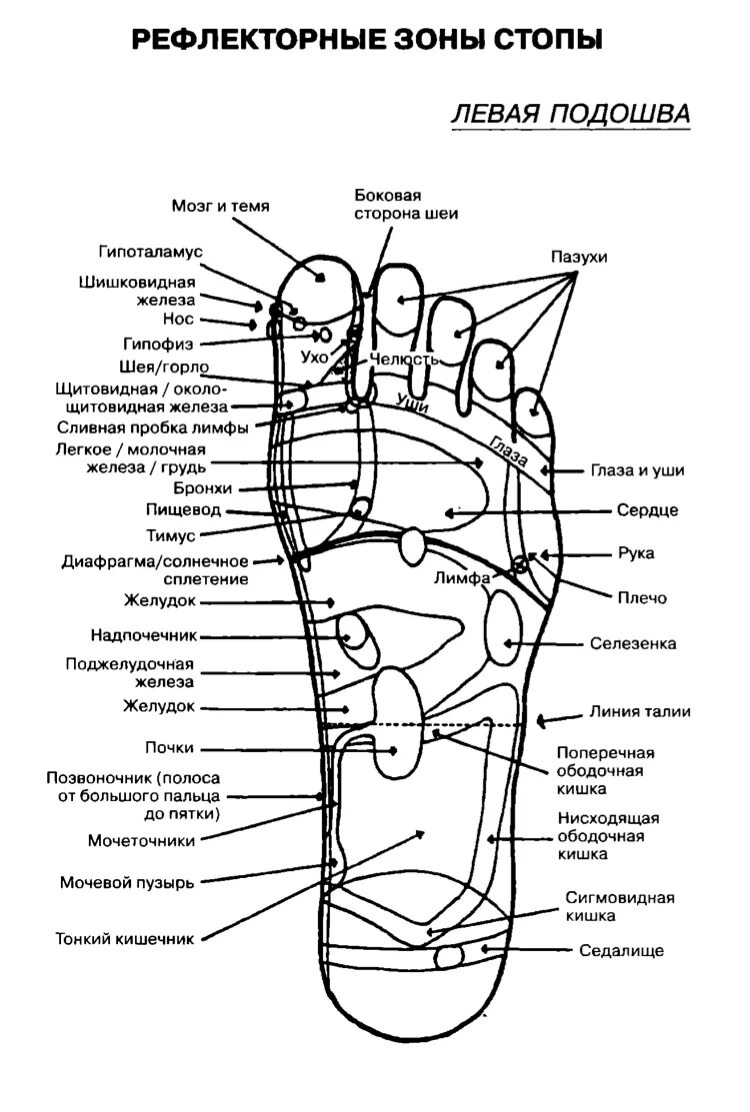Акупунктурные точки на ступнях ног схема. Точки акупунктуры на стопе человека атлас. Рефлекторные зоны стопы схема. Точечный массаж ступней схема. Каналы подошвы