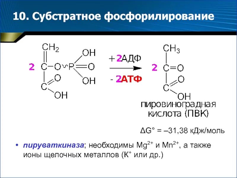 Субстратное фосфорилирование атф. Процесс субстратного фосфорилирования. Субстратное фосфорилирование схема. Субстратное фосфорилирование в ЦТК. Реакции субстратного фосфорилирования.