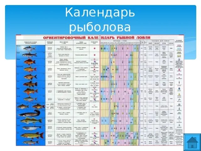 Рыболовный календарь ставропольский край. Рыболовный календарь. Таблица рыболова. Рыбный календарь. Лунный календарь рыболова.