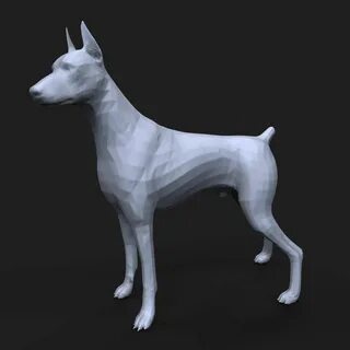 Dobermans 3d